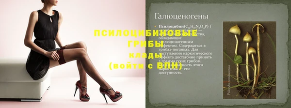молекула духа Алексин