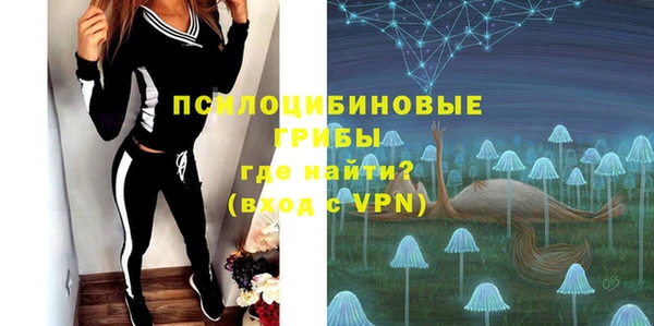 молекула духа Алексин