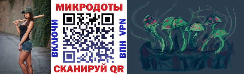 Галлюциногенные грибы Psilocybine cubensis  Люберцы 